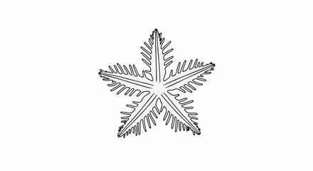 Obraz premium Stylized black and white five-pointed star with feathery edges