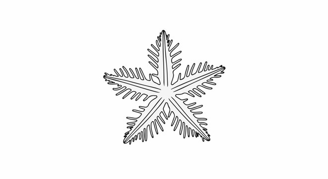 Stylized black and white five-pointed star with feathery edges
