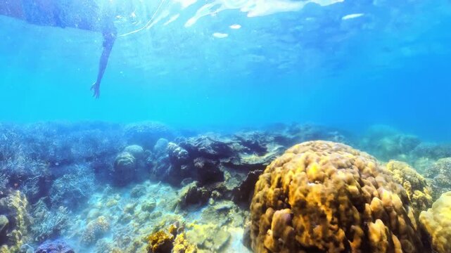 woman wearing snorkel fins mask swims with fishes in Twin Reef in Port Barton. Summer beach vacation in Palawan, Philippines. Popular excursion: Tour A Island Hopping.