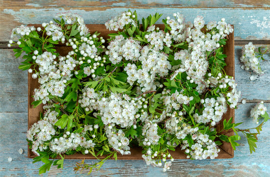 Flowers Are Arranged on a Wooden Tray