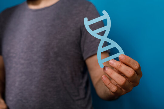 A close-up of a man holding a cutout DNA strand, emphasizing genetics, science, and the c