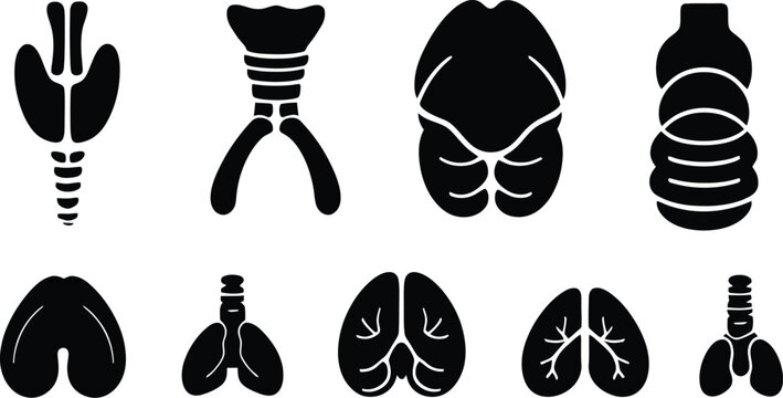Thyroid Gland Icon Set Vector Collection for Medical Anatomy Healthcare and Endocrine System Design