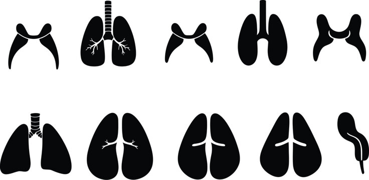 Thyroid Gland Icon Set Vector Collection for Medical Anatomy Healthcare and Endocrine System Design