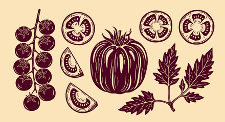 Set of hand drawn organic fresh tomatoes with cherry tomatoes on vine sliced pieces and green leaves hand drawn vector illustration © Kanon Islam