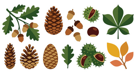 Collection of natural autumn elements, oak leaves with acorns, pine cones, chestnuts. Seasonal fall harvest forest objects and decorations for design. © SADIKUR