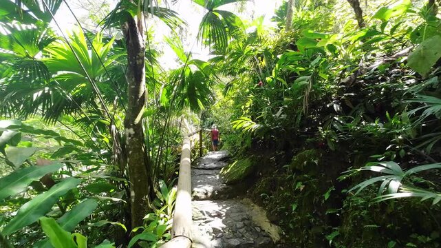 Cinematic shot of a man with a backpack walking along a lush jungle path in Minca. Golden sunlight filtering through the trees during a peaceful forest bathing experience. Healing nature and wellnes