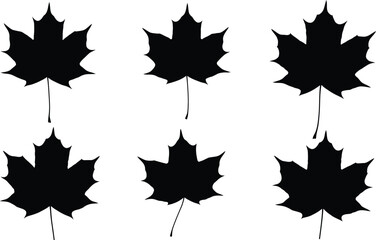 Fototapeta premium Six black maple leaves isolated on a white background