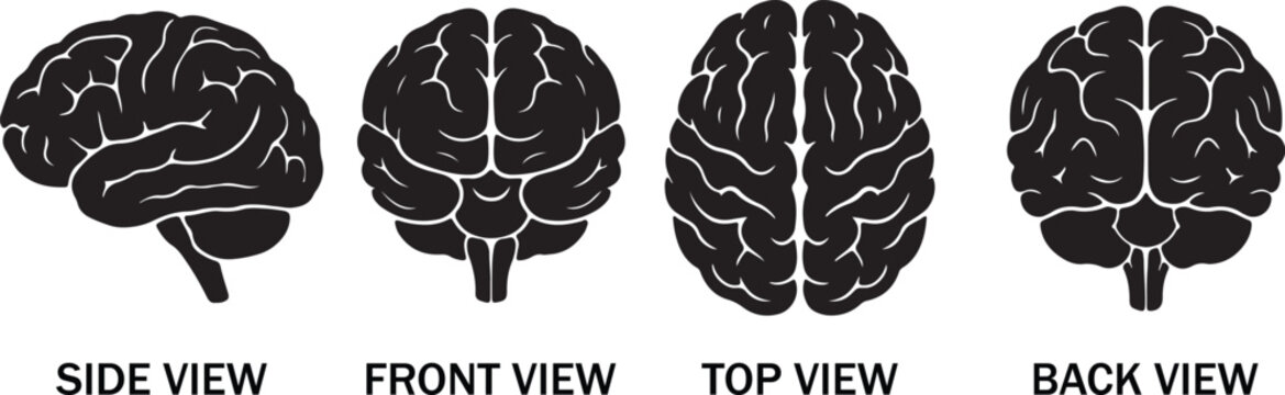 Human brain silhouette icons set side, front, back, and top views vector art illustration