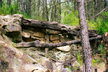 Fototapeta premium The scene shows a weathered stone wall built with large rocks in a forest setting. Fallen logs lie against the wall and trees surround the area, creating a natural environment
