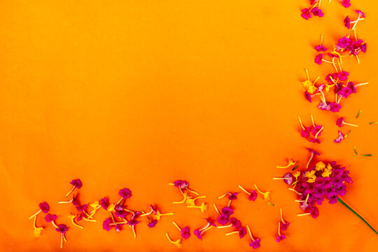 Flowers frame on orange background. Top view with copy space