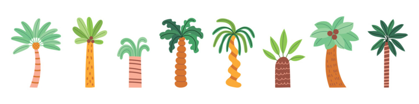 Tropical palm tree set. Cute Summer beach tree collection. Vector illustration isolated on white background.