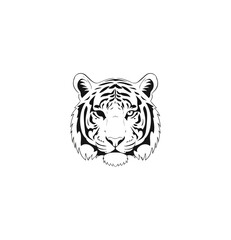 Fototapeta premium Tiger portrait against black background wildlife animal illustration