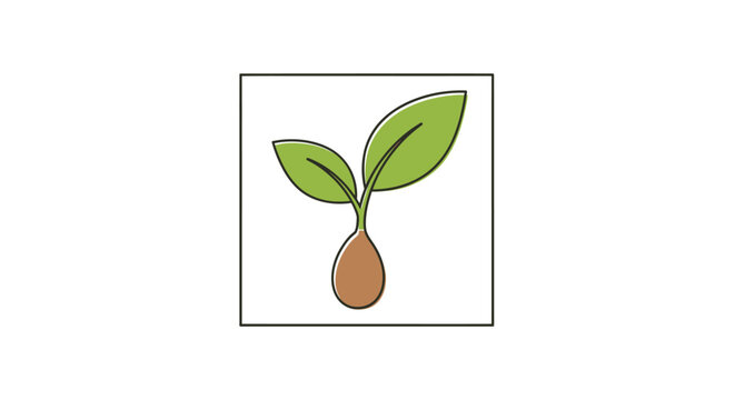 A small plant sprout with green leaves.