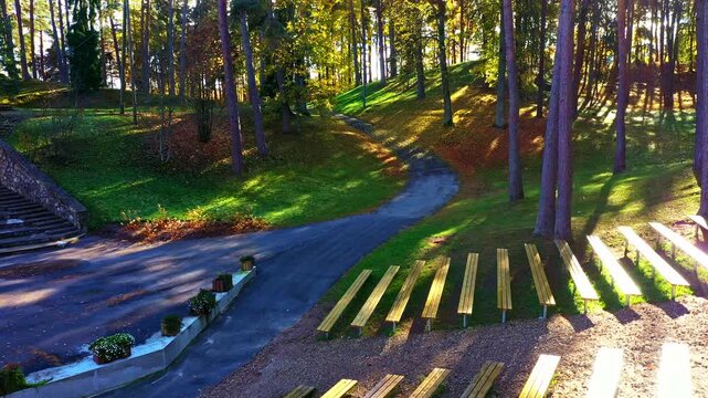 Terraced seating and winding path through a forest during fall, sunlight filtering through foliage