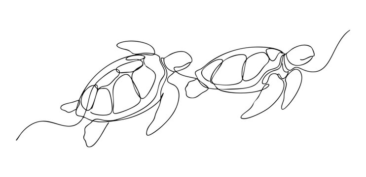 Continuous one line drawing of two sea turtles swimming for marine conservation