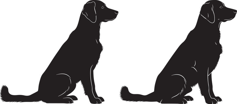 Two black labrador dogs sitting shown in silhouette black and white domestic animal portrait working dog family pet labrador silhouette illustration clean design isolated side view
