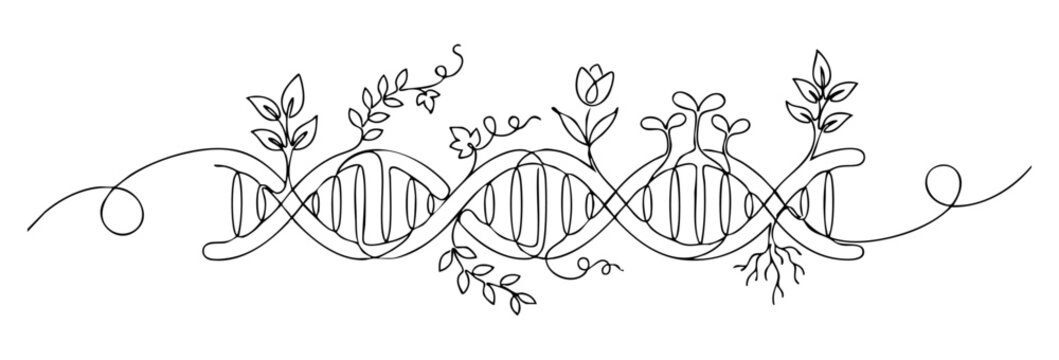 Minimalist one-line illustration of a DNA double helix intertwined with blooming flowers and leaves