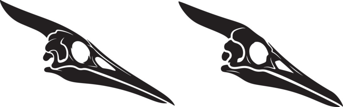 Two detailed black silhouettes of bird skulls with visible bone structure skeleton silhouette natural history wildlife creature illustration