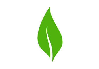 Single green leaf element design © Bespana
