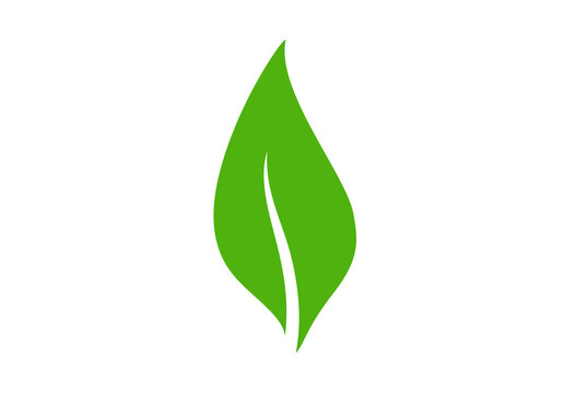 Single green leaf element design
