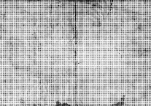 Large vector halftone paper texture with a transparent background