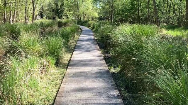 Balade au c&oelig;ur du marais d'Isle.