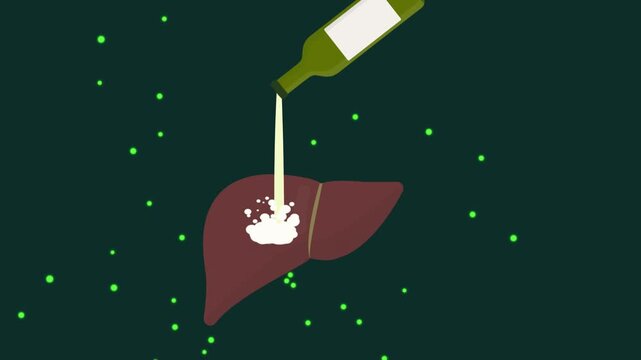 wine bottle pour on liver cause toxicity and damage