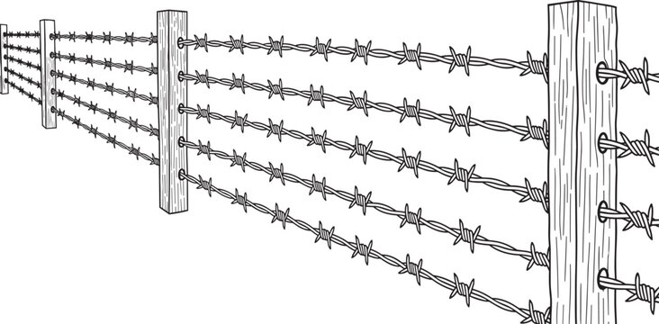 Barbed wire fence vector illustration with wooden posts, rural boundary protection concept, vintage engraving style, detailed line art design