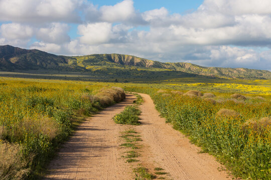 Road in field