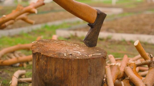 Hand picking up axe from tree stump close-up with blurred background