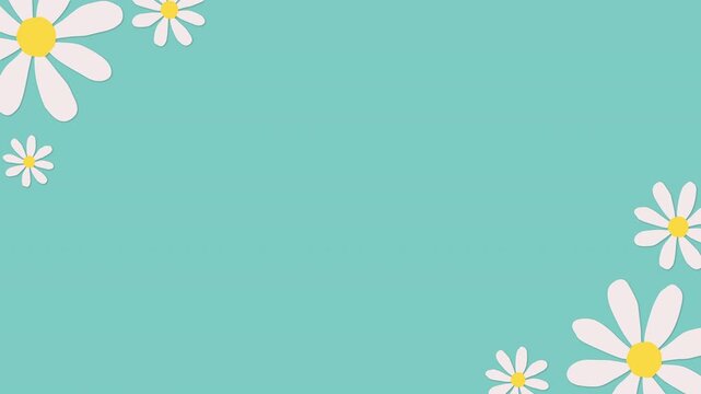 White daisy animation on pastel color background. Cute flower motion graphic template.
