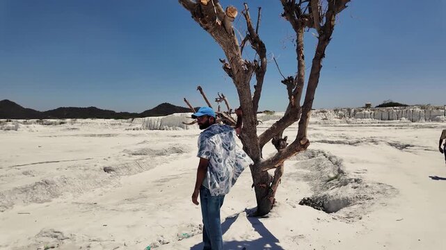 A lone traveler observes a stark, dead tree in a vast white desert.