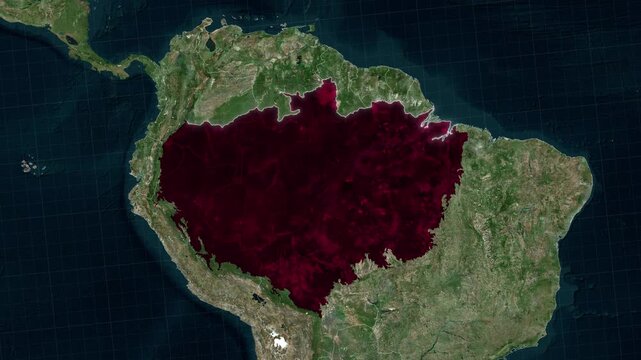 Amazon Rainforest Map Animation In South America Tropical Forest Geographic Visualization