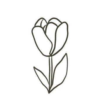 Dessin de tulipe &agrave; la main ligne &eacute;paisse