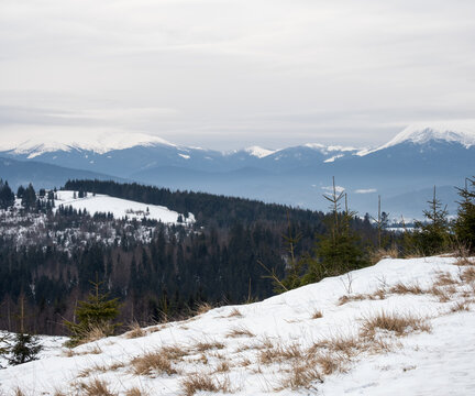 Winter evening overcast twilight mountains (Ukraine, Carpathians - Hoverla and Petros mountain peaks scenery view from Yablunytsia Pass).