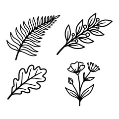 Obraz premium set of decorative botanical elements including leaves, branches, and small florals, minimal line art, bold thick black outline, clean smooth stroke