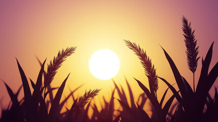 Naklejka premium Serene Sunset Over Silhouetted Grass and Crops at Dusk