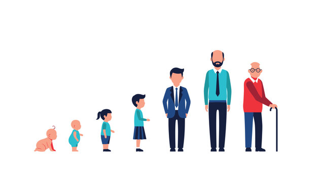 Illustration of the human life cycle stages showing a male character from infancy and childhood through adulthood to old age with a cane.