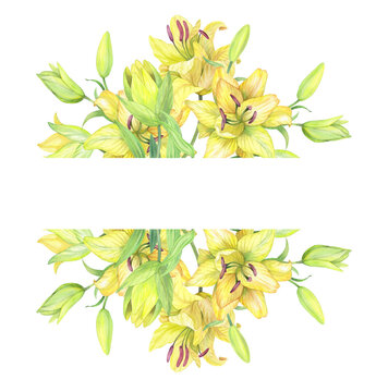 Banner of the bouquet lilies. Handmade watercolor illustration. For packaging design, cards, cover, prints, product labels and fabric.