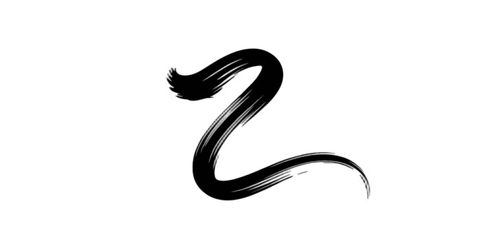 A black and white python isolated on a plain studio background shows a macro closeup of the wild reptile nature in an abstract style