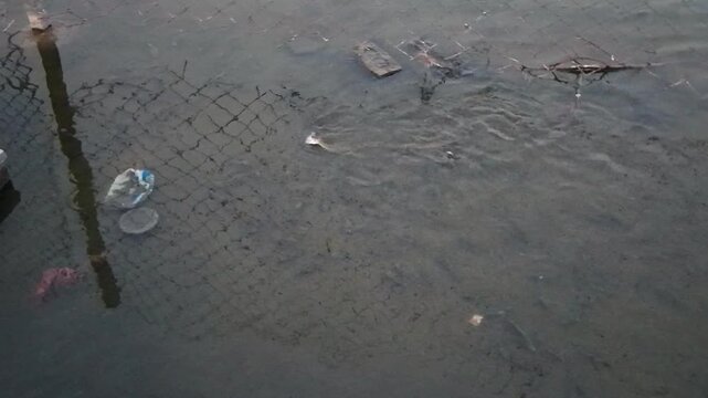 A close-up of a dark, wet surface with some debris and a stick.