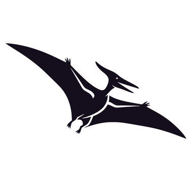 Flying pterosaur with spread wings in side view isolated on white background