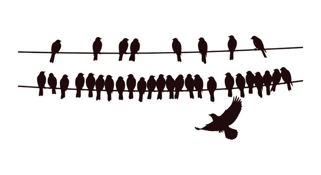 Cute small forest birds lined up on a rope, flat vector background artwork.
