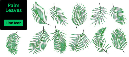 Vector of Palm leaves set. Palm and coconut leaf clip art icon elements in white background vector illustration © Haowanur