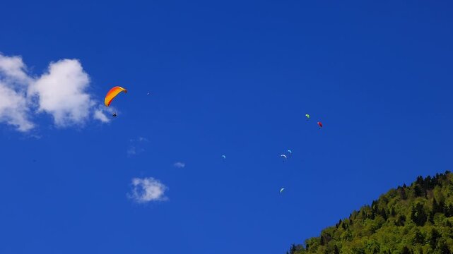 many paragliders in the sky 4k video
