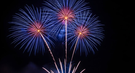 Fototapeta premium Fireworks display against dark night sky