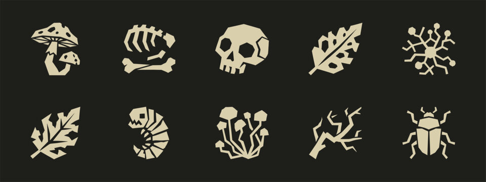 Geometric fantasy nature icons set including skull mushrooms leaves and insect symbols