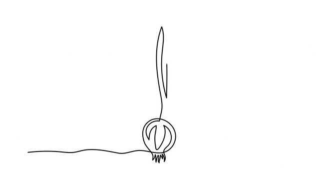 Onion one line art animation, hand-drawn vegetarian vegetable crop healthy diet continuous drawing contour outline motion, natural vitamin farming agriculture sprouted plant. 4k self-drawing video