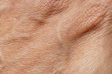 Naklejka premium Macro Detail of Human Skin Texture and Veins on Back of Hand,Extreme close-up shot showing the intricate details of human skin texture, pores, and visible veins on the back of an adult's hand.