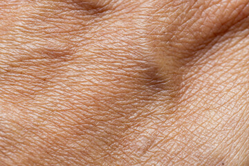 Naklejka premium Macro Detail of Human Skin Texture and Veins on Back of Hand,Extreme close-up shot showing the intricate details of human skin texture, pores, and visible veins on the back of an adult's hand.